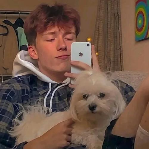 สเตลล่า