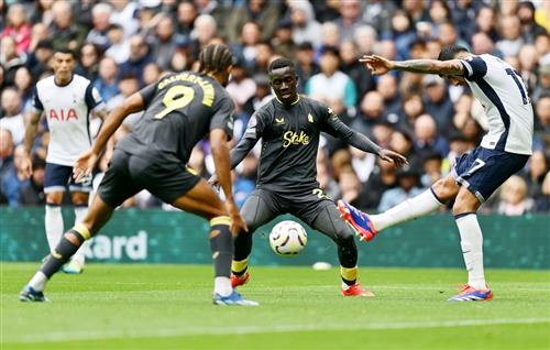 ท็อตแน่ม ฮ็อทสเปอร์ พบ เอฟเวอร์ตัน