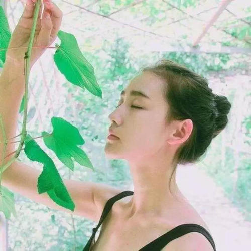 6686体育铁牌作者John